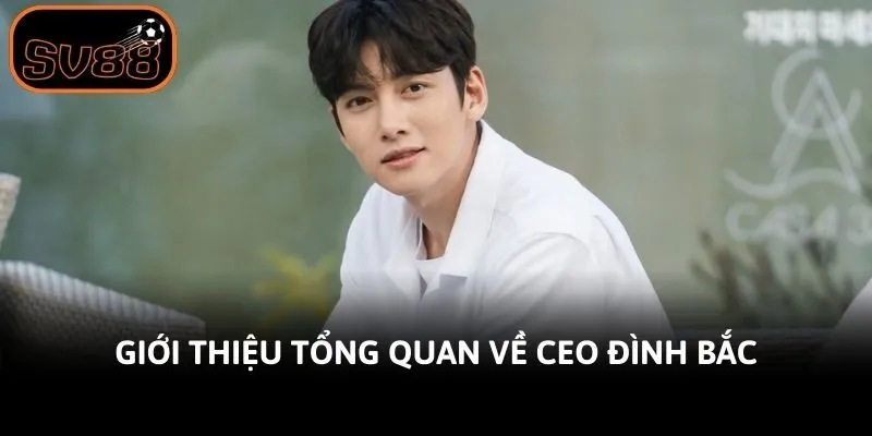Giới thiệu tổng quan về CEO Đình Bắc
