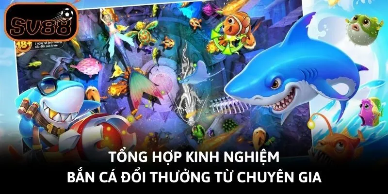 Tổng Hợp Kinh Nghiệm Bắn Cá Đổi Thưởng Từ Chuyên Gia